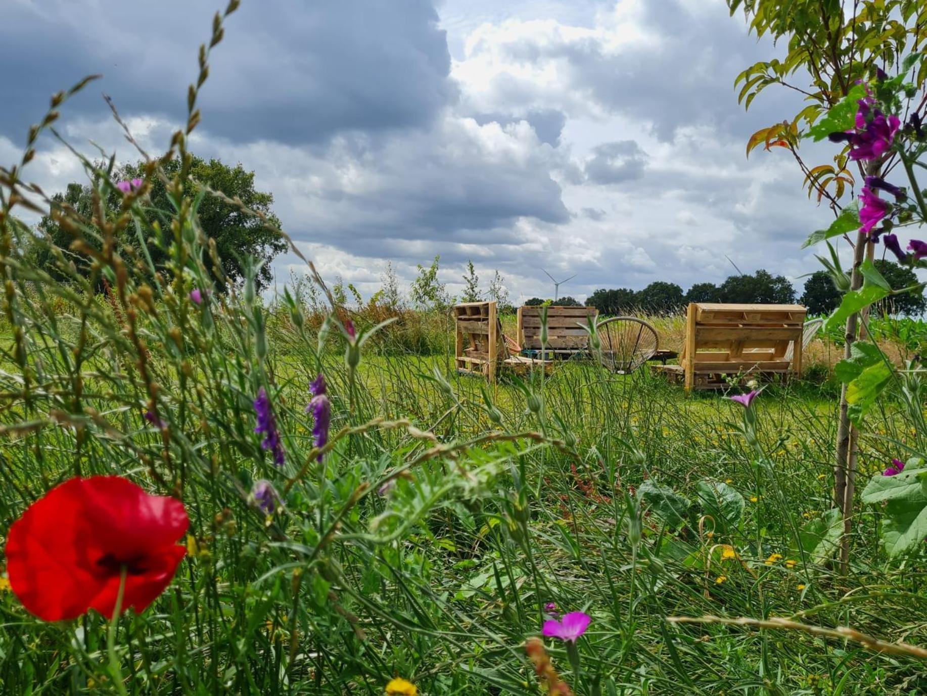 Nederweert-Eind Bell Tent In Een Voedselbos מראה חיצוני תמונה